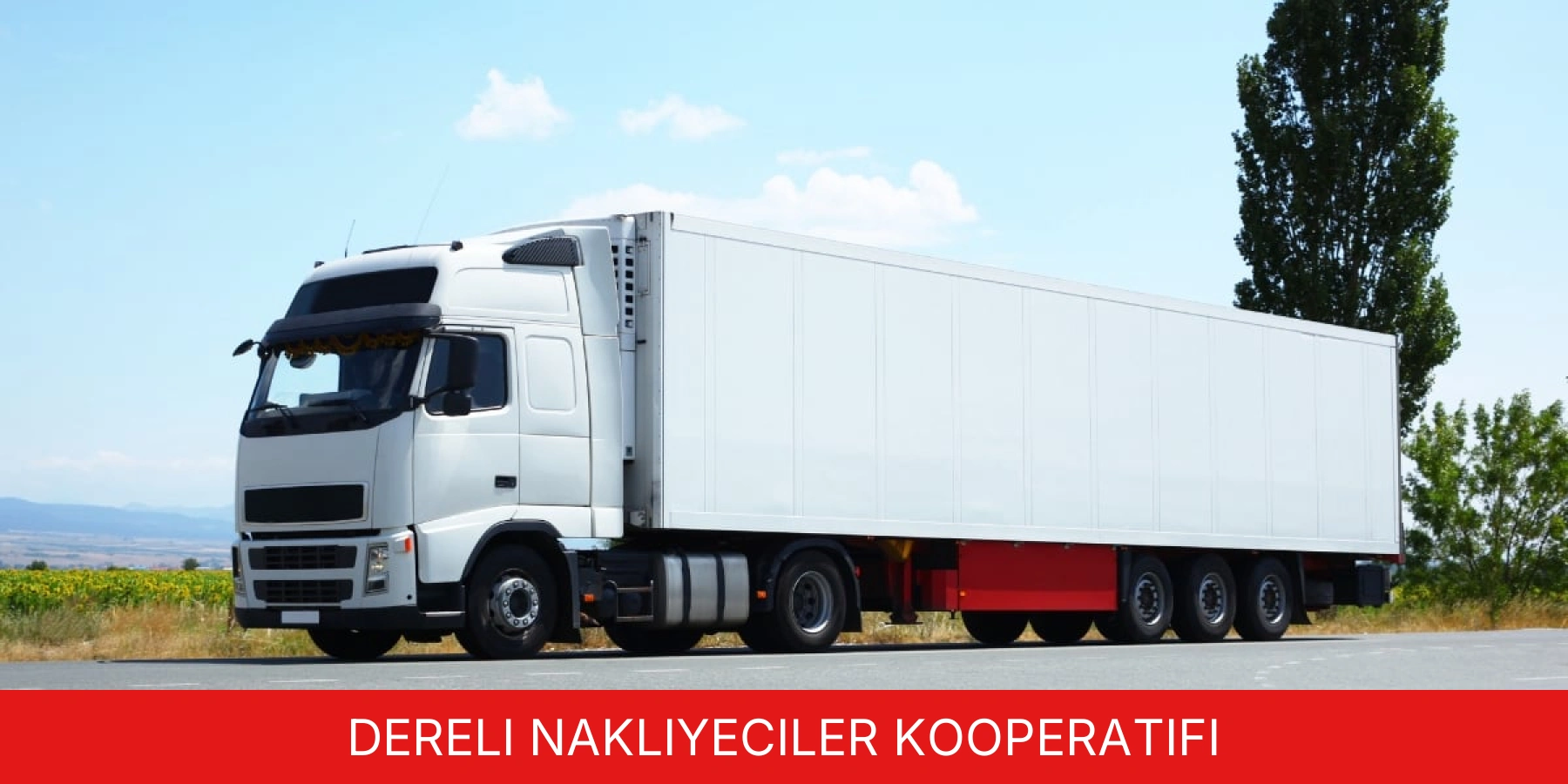 Dereli Nakliyeciler Kooperatifi