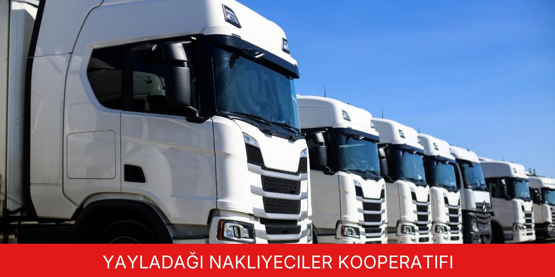 Yayladağı Nakliyeciler Kooperatifi