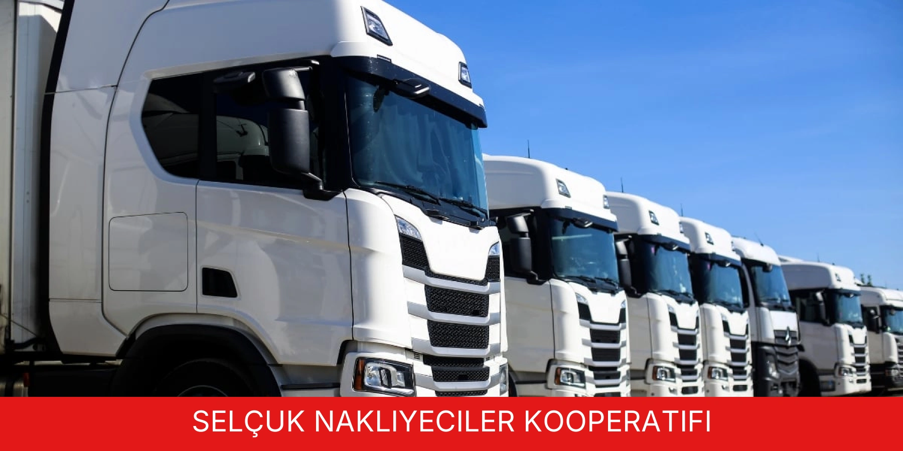 Selçuk Nakliyeciler Kooperatifi