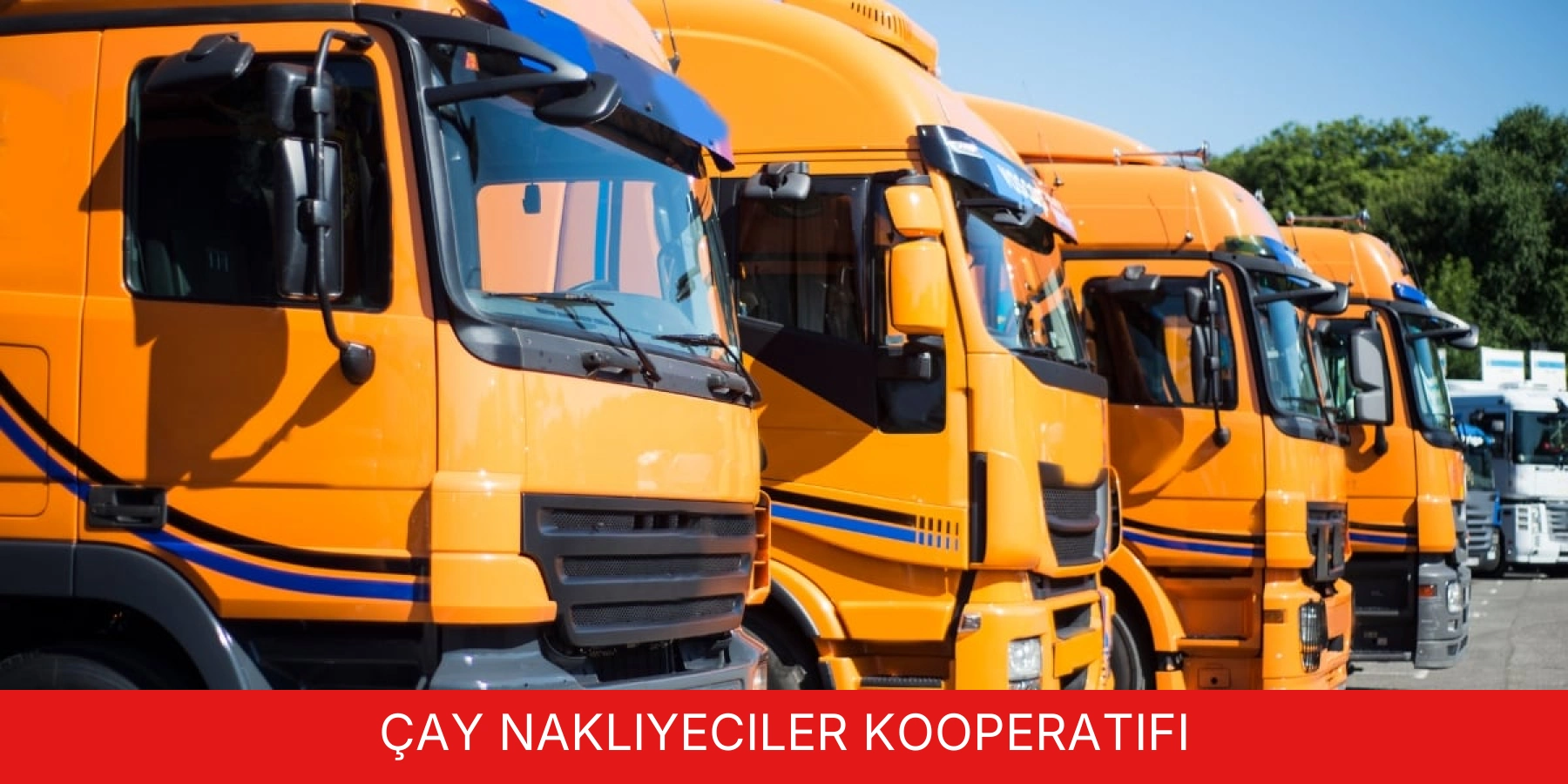 Çay Nakliyeciler Kooperatifi